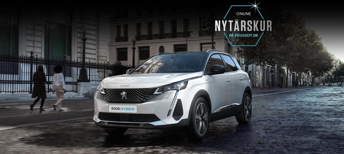 3008 Nytårskur