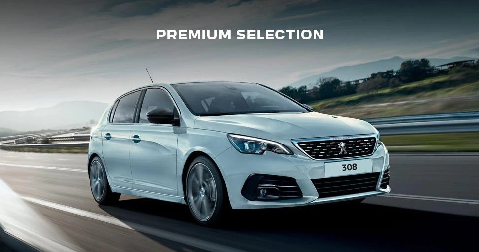 308 Premium 970x511