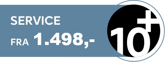 Service 10+ 550x208